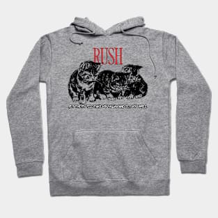 Rush Hoodie